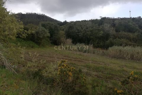 Helårsgrund i Torres Vedras, Lisbon, Torres Vedras - € 39.000 | Ref: C0444-00629 - foto 5