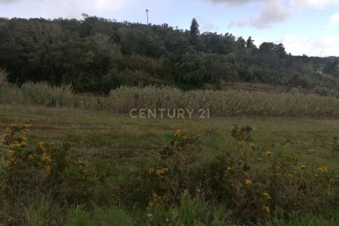 Helårsgrund i Torres Vedras, Lisbon, Torres Vedras - € 39.000 | Ref: C0444-00629 - foto 6