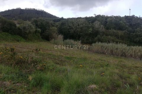 Helårsgrund i Torres Vedras, Lisbon, Torres Vedras - € 39.000 | Ref: C0444-00629 - foto 8