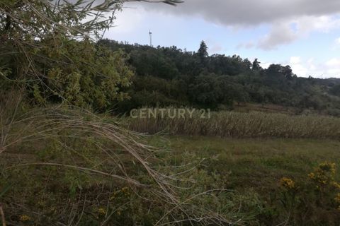Helårsgrund i Torres Vedras, Lisbon, Torres Vedras - € 39.000 | Ref: C0444-00629 - foto 12