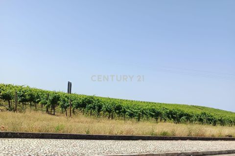 Villa a Estremoz, Evora, Estremoz - € 225.900 | Ref: C0444-00669 - foto 18