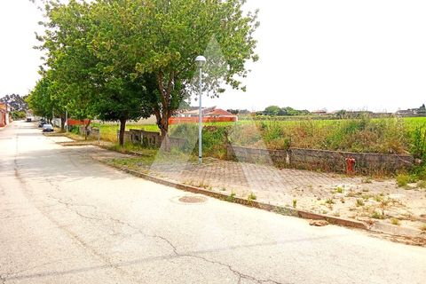 Tomt i Aveiro, Aveiro, Aveiro - € 65 000 | Ref: 1040716/25 BR - foto 2