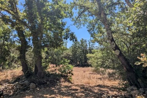 Terra a Carcès, Var, Carcès - € 164.000 | Ref: 3603 - foto 9