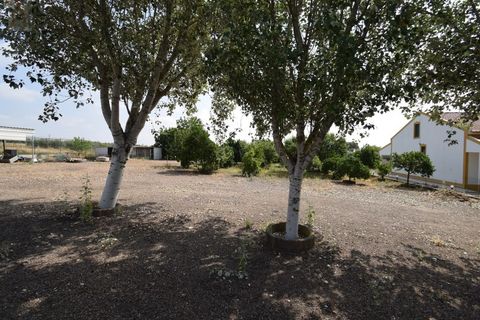 Farm i Elvas, Portalegre, Elvas - € 480.000 | Ref: MAS_141 - foto 38