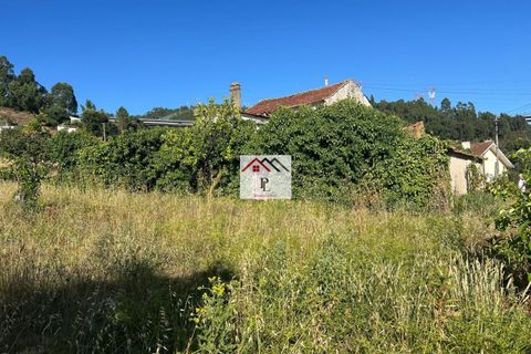 Villa i Coimbra, Coimbra, Coimbra - € 120.000 | Ref: V867MS - foto 11
