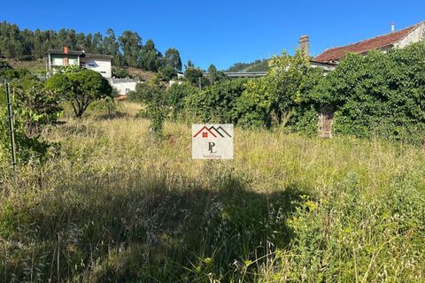 Villa i Coimbra, Coimbra, Coimbra - € 120.000 | Ref: V867MS - foto 14