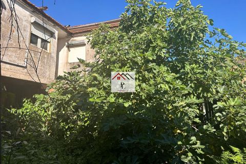 Villa i Coimbra, Coimbra, Coimbra - € 120.000 | Ref: V867MS - foto 15