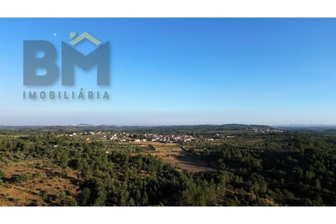 Helårsgrund i Castelo Branco, Castelo Branco, Castelo Branco - € 13.750 | Ref: 4897 - foto 12