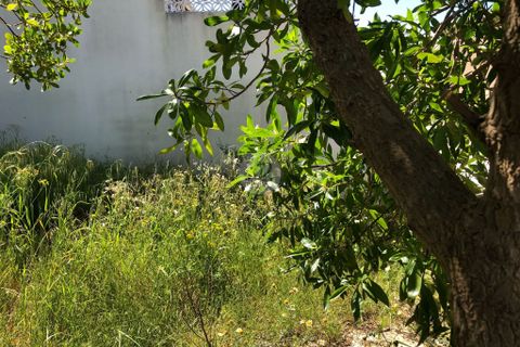 Helårsgrund i Estombar, Faro, Estombar - € 115.000 | Ref: L911PRC - foto 4
