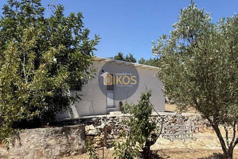 Villa i Monopoli, Bari, Monopoli - € 148.000 | Ref: 180 - foto 24