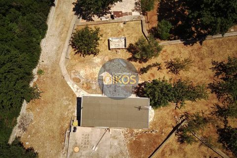 Villa i Monopoli, Bari, Monopoli - € 148.000 | Ref: 180 - foto 29