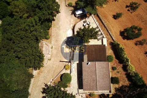 Villa i Monopoli, Bari, Monopoli - € 148.000 | Ref: 180 - foto 31