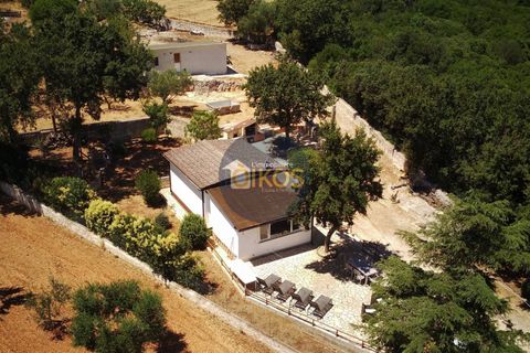Villa i Monopoli, Bari, Monopoli - € 148.000 | Ref: 180 - foto 35