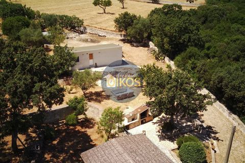 Villa i Monopoli, Bari, Monopoli - € 148.000 | Ref: 180 - foto 36