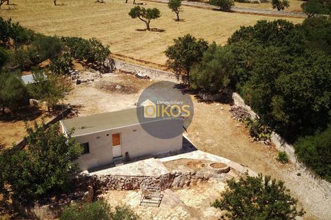 Villa i Monopoli, Bari, Monopoli - € 148.000 | Ref: 180 - foto 37