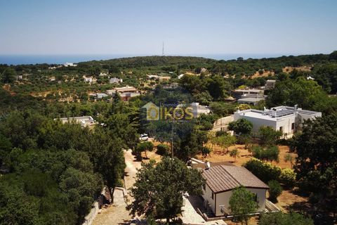 Villa i Monopoli, Bari, Monopoli - € 148.000 | Ref: 180 - foto 39