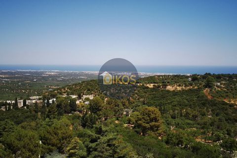 Villa i Monopoli, Bari, Monopoli - € 148.000 | Ref: 180 - foto 40