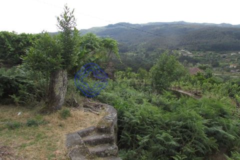 Farm i Moncao, Viana do Castelo, Moncao - € 275.000 | Ref: 1106171 - foto 4