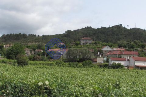 Farm i Moncao, Viana do Castelo, Moncao - € 275.000 | Ref: 1106171 - foto 5
