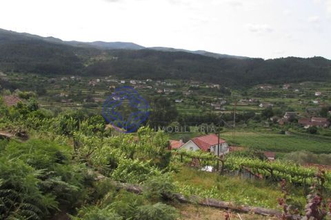 Farm i Moncao, Viana do Castelo, Moncao - € 275.000 | Ref: 1106171 - foto 11