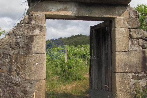 Farm i Moncao, Viana do Castelo, Moncao - € 275.000 | Ref: 1106171 - foto 23