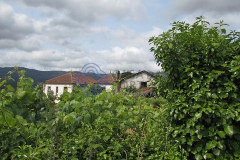 Farm i Moncao, Viana do Castelo, Moncao - € 275.000 | Ref: 1106171 - foto 29
