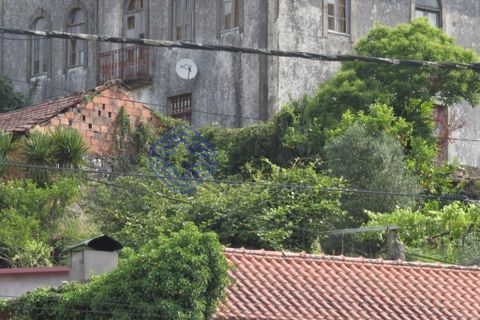 Farm i Moncao, Viana do Castelo, Moncao - € 275.000 | Ref: 1106171 - foto 32