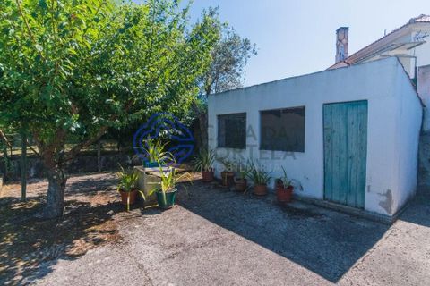 Byhus i Lousa, Coimbra, Lousa - € 400.000 | Ref: 1100931 - foto 11