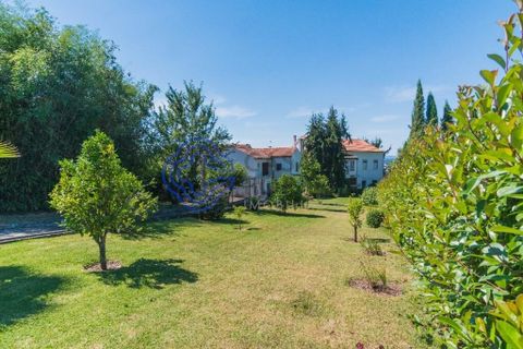 Byhus i Lousa, Coimbra, Lousa - € 400.000 | Ref: 1100931 - foto 14