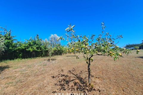 Villa a Vejano, Viterbo, Vejano - € 221.000 | Ref: Vejano 221.000 - foto 47