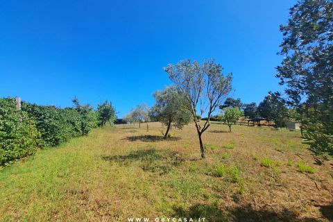 Villa a Vejano, Viterbo, Vejano - € 221.000 | Ref: Vejano 221.000 - foto 48
