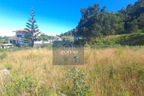Terra a Areosa, Viana do Castelo, Areosa - € 107.500 | Ref: ZMPT578818 - foto 4