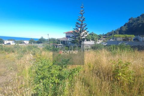 Terra a Areosa, Viana do Castelo, Areosa - € 107.500 | Ref: ZMPT578818 - foto 8