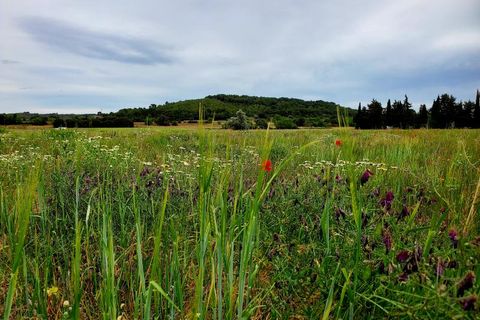 Terra a Lignan-sur-Orb, Herault, Lignan-sur-Orb - € 139.000 | Ref: 34B-VIGNETES_DIV - foto 2