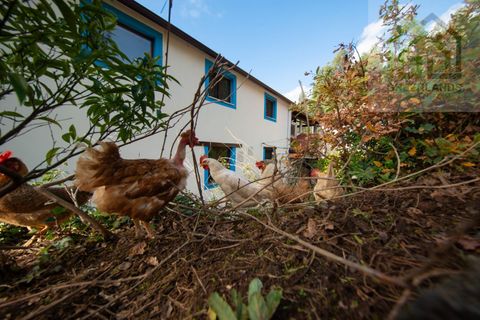 Landejendom i Gois, Coimbra, Gois - € 380.000 | Ref: 655 - foto 4