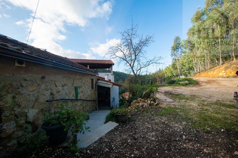 Landejendom i Gois, Coimbra, Gois - € 380.000 | Ref: 655 - foto 12