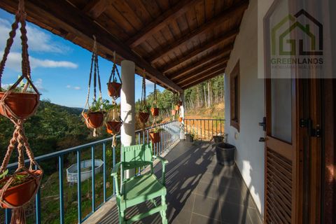 Landejendom i Gois, Coimbra, Gois - € 380.000 | Ref: 655 - foto 17