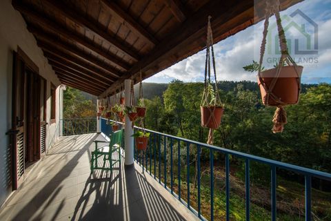 Landejendom i Gois, Coimbra, Gois - € 380.000 | Ref: 655 - foto 19