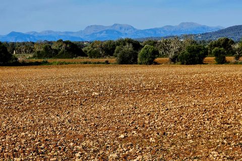 Helårsgrund i Manacor, Mallorca, Manacor - € 370.000 | Ref: 82005 - foto 1