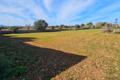 Helårsgrund i Manacor, Mallorca, Manacor - € 370.000 | Ref: 82005 - foto 3
