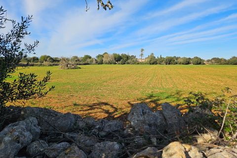 Helårsgrund i Manacor, Mallorca, Manacor - € 370.000 | Ref: 82005 - foto 4