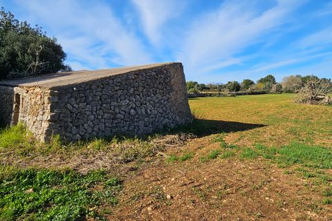 Helårsgrund i Manacor, Mallorca, Manacor - € 370.000 | Ref: 82005 - foto 7