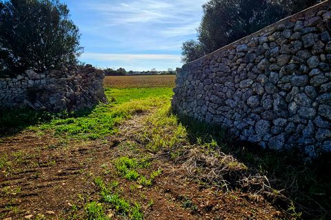 Helårsgrund i Manacor, Mallorca, Manacor - € 370.000 | Ref: 82005 - foto 8