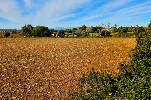 Helårsgrund i Manacor, Mallorca, Manacor - € 370.000 | Ref: 82005 - foto 9
