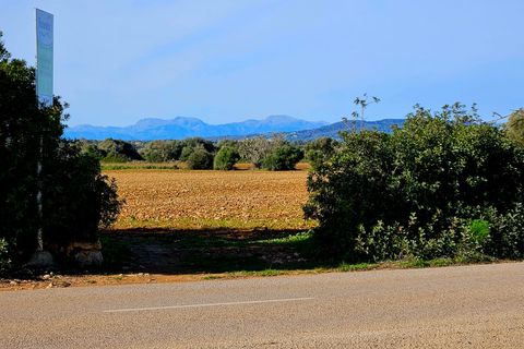 Helårsgrund i Manacor, Mallorca, Manacor - € 370.000 | Ref: 82005 - foto 11