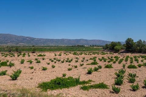 Lejlighed i Ubeda, Alicante, Ubeda - € 107.000 | Ref: CF3211 - foto 25