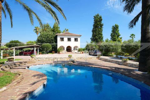 Finca in Pedreguer, Alicante - foto 1