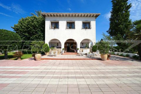 Finca in Pedreguer, Alicante - foto 5