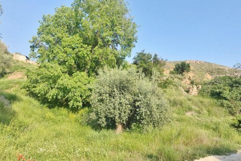 Helårsgrund i Ugijar, Granada, Ugijar - € 245.000 | Ref: EXP10544/8930 - foto 6