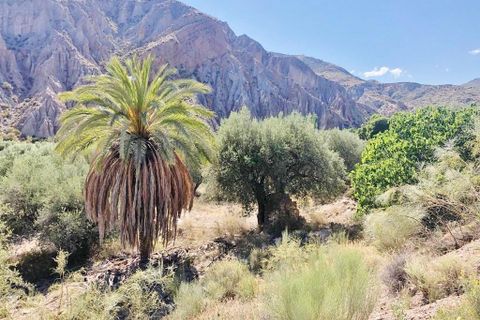 Helårsgrund i Ugijar, Granada, Ugijar - € 245.000 | Ref: EXP10544/8930 - foto 11